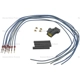 Purchase Top-Quality Oxygen Sensor Connector by BLUE STREAK (HYGRADE MOTOR) - S1932 pa1