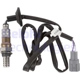 Purchase Top-Quality Oxygen Sensor by DELPHI - ES20420 pa13