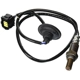 Purchase Top-Quality Oxygen Sensor by DENSO - 234-4386 pa5