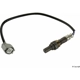 Purchase Top-Quality Oxygen Sensor by GENUINE OE - C2S 51801 pa1