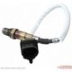 Purchase Top-Quality Capteur d'oxygène par MOTORCRAFT - DY1120 pa4