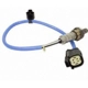 Purchase Top-Quality Oxygen Sensor by MOTORCRAFT - DY1174 pa12
