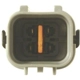 Purchase Top-Quality Oxygen Sensor by NGK CANADA - 25150 pa2
