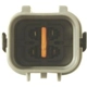 Purchase Top-Quality Oxygen Sensor by NGK CANADA - 25150 pa6