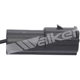 Purchase Top-Quality Oxygen Sensor by WALKER PRODUCTS - 250-21026 pa2