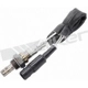 Purchase Top-Quality Oxygen Sensor by WALKER PRODUCTS - 250-23031 pa1