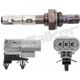 Purchase Top-Quality Oxygen Sensor by WALKER PRODUCTS - 250-23075 pa10