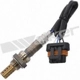Purchase Top-Quality Oxygen Sensor by WALKER PRODUCTS - 250-24019 pa11