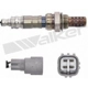 Purchase Top-Quality Oxygen Sensor by WALKER PRODUCTS - 250-24106 pa5