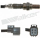 Purchase Top-Quality Capteur d'oxygène par WALKER PRODUCTS - 250-241121 pa10