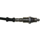 Purchase Top-Quality WALKER PRODUCTS - 250-241142 - Oxygen Sensor pa4