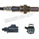Purchase Top-Quality Oxygen Sensor by WALKER PRODUCTS - 250-241176 pa1