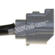 Purchase Top-Quality Capteur d'oxygène par WALKER PRODUCTS - 250-241177 pa9