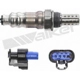 Purchase Top-Quality Oxygen Sensor by WALKER PRODUCTS - 250-241247 pa5