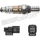 Purchase Top-Quality Oxygen Sensor by WALKER PRODUCTS - 250-241253 pa5