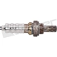 Purchase Top-Quality WALKER PRODUCTS - 250-241308 - Oxygen Sensor pa1