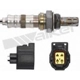 Purchase Top-Quality Oxygen Sensor by WALKER PRODUCTS - 250-24259 pa1