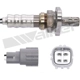 Purchase Top-Quality Oxygen Sensor by WALKER PRODUCTS - 250-24277 pa6