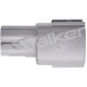 Purchase Top-Quality Capteur d'oxygène par WALKER PRODUCTS - 250-24277 pa8
