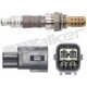 Purchase Top-Quality Oxygen Sensor by WALKER PRODUCTS - 250-24282 pa6