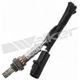 Purchase Top-Quality Oxygen Sensor by WALKER PRODUCTS - 250-24302 pa1