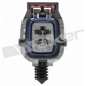 Purchase Top-Quality Oxygen Sensor by WALKER PRODUCTS - 250-24314 pa4
