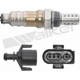 Purchase Top-Quality Oxygen Sensor by WALKER PRODUCTS - 250-24395 pa5