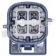 Purchase Top-Quality Capteur d'oxygène par WALKER PRODUCTS - 250-24418 pa4