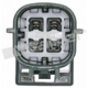 Purchase Top-Quality Capteur d'oxygène par WALKER PRODUCTS - 250-24437 pa7