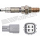 Purchase Top-Quality Oxygen Sensor by WALKER PRODUCTS - 250-24487 pa5