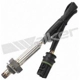 Purchase Top-Quality Oxygen Sensor by WALKER PRODUCTS - 250-24516 pa1