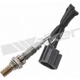 Purchase Top-Quality Oxygen Sensor by WALKER PRODUCTS - 250-24725 pa4