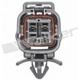 Purchase Top-Quality Capteur d'oxygène par WALKER PRODUCTS - 250-24732 pa4