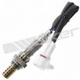 Purchase Top-Quality Oxygen Sensor by WALKER PRODUCTS - 250-24770 pa1