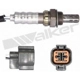 Purchase Top-Quality Oxygen Sensor by WALKER PRODUCTS - 250-24913 pa9