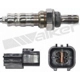 Purchase Top-Quality Oxygen Sensor by WALKER PRODUCTS - 250-24916 pa5