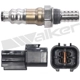 Purchase Top-Quality Oxygen Sensor by WALKER PRODUCTS - 250-24988 pa2
