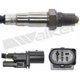 Purchase Top-Quality WALKER PRODUCTS - 250-25003 - Oxygen Sensor pa5
