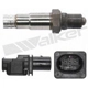 Purchase Top-Quality Oxygen Sensor by WALKER PRODUCTS - 250-25018 pa5