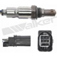 Purchase Top-Quality Oxygen Sensor by WALKER PRODUCTS - 250-25083 pa1