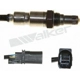Purchase Top-Quality Oxygen Sensor by WALKER PRODUCTS - 250-25121 pa5