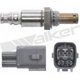 Purchase Top-Quality WALKER PRODUCTS - 250-54006 - Oxygen Sensor pa1