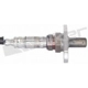 Purchase Top-Quality Capteur d'oxygène par WALKER PRODUCTS - 250-54051 pa2