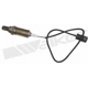Purchase Top-Quality Oxygen Sensor by WALKER PRODUCTS - 350-31003 pa1