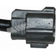 Purchase Top-Quality Capteur d'oxygène par WALKER PRODUCTS - 350-34080 pa5