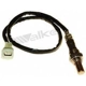Purchase Top-Quality Oxygen Sensor by WALKER PRODUCTS - 350-34243 pa6