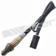 Purchase Top-Quality Oxygen Sensor by WALKER PRODUCTS - 350-34344 pa1