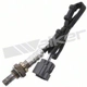 Purchase Top-Quality Oxygen Sensor by WALKER PRODUCTS - 350-34362 pa2