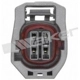 Purchase Top-Quality Capteur d'oxygène par WALKER PRODUCTS - 350-34570 pa5