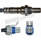 Purchase Top-Quality Oxygen Sensor by WALKER PRODUCTS - 350-34661 pa5